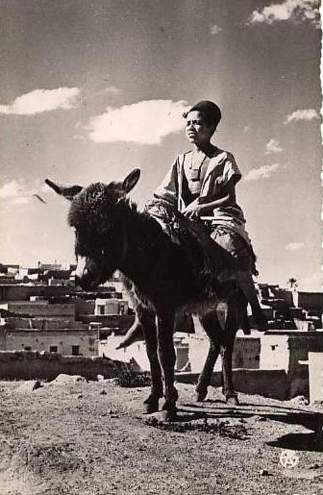 Images d'Algerie 126.jpg